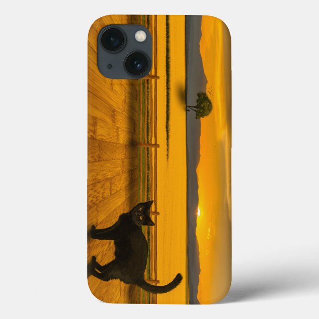 Schwarze Katzenlandschaft Case-Mate iPhone Hülle (Rückseite)