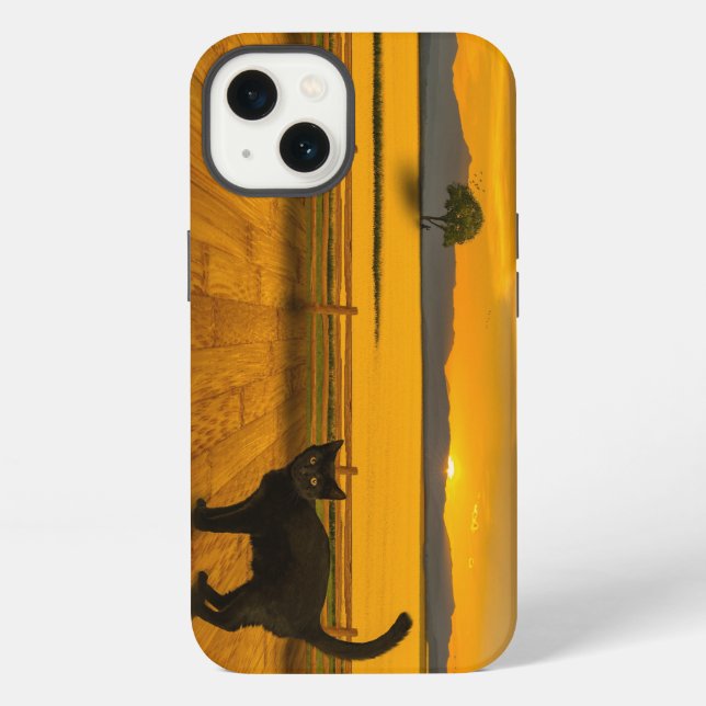 Schwarze Katzenlandschaft iPhone Hülle (Rückseite)