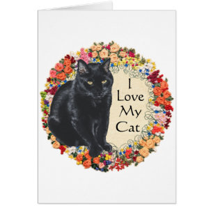 Schwarze Katzenliebe