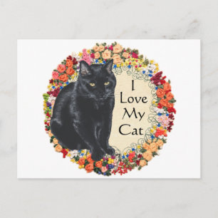 Schwarze Katzenliebe Postkarte