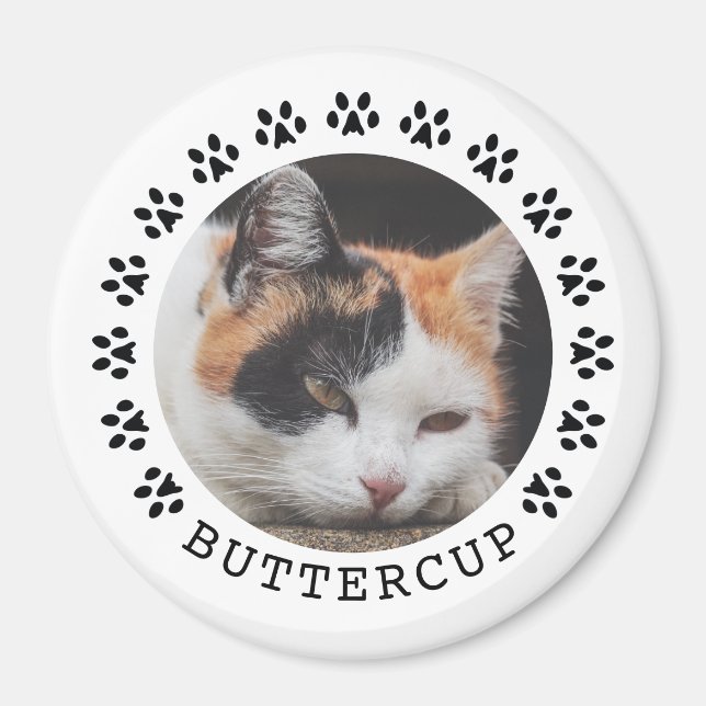 Schwarze Katzenpaw druckt Frame Pet Foto Magnet (Vorne)