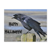 Schwarze Krähe halloween Postkarte