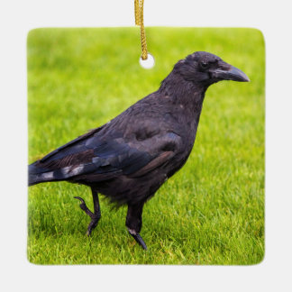 Schwarze Krähe Keramikornament