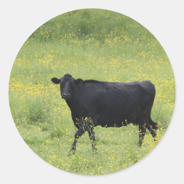 Schwarze Kuh_0075 Runder Aufkleber (Vorderseite)