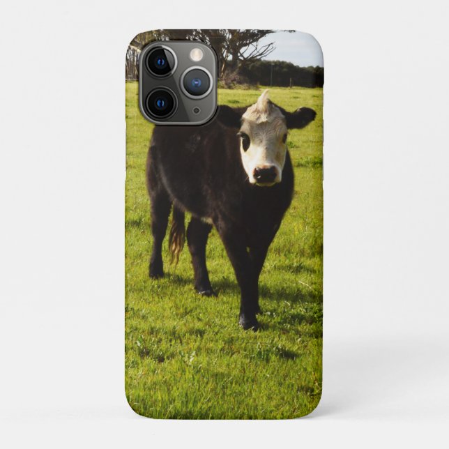 Schwarze Kuh mit weißem Gesicht und Mohawk, Case-Mate iPhone Hülle (Rückseite)