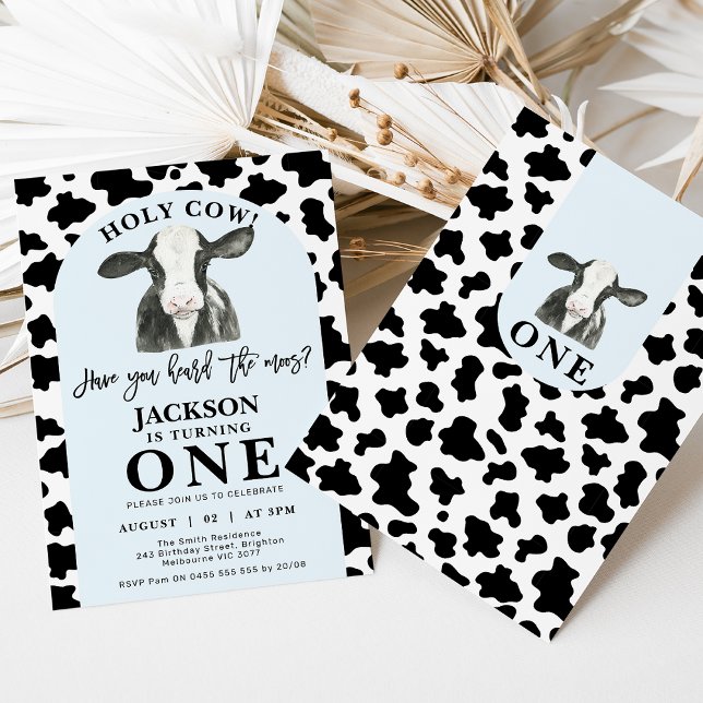 Schwarze Kuh Print Blue Arch Heilige Kuh 1. Geburt Einladung (Modern black and white cow and cow print holy cow 1st birthday invitation also featuring a blue arch)