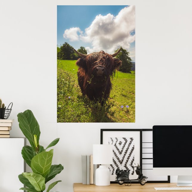 Schwarze Kuh Weide grünes Feld Sonnenlicht Poster (Heimbüro)