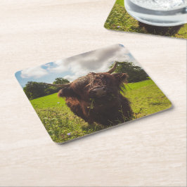 Schwarze Kuh Weide grünes Feld Sonnenlicht Rechteckiger Pappuntersetzer