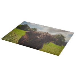 Schwarze Kuh Weide grünes Feld Sonnenlicht Schneidebrett