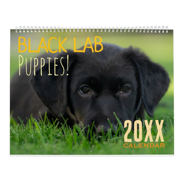 Schwarze Lab Welpen Hund Labrador Kalender (Titelbild)
