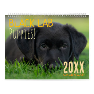 Schwarze Lab Welpen Kalender Welpe Hund Labrador