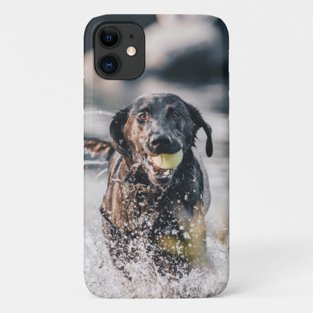 Schwarze Labrador-Plays in Wasser Case-Mate iPhone Hülle (Rückseite)