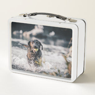 Schwarze Labrador-Plays in Wasser Metall Brotdose