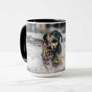 Schwarze Labrador-Plays in Wasser Tasse
