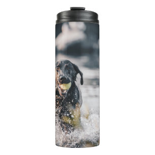 Schwarze Labrador-Plays in Wasser Thermosbecher