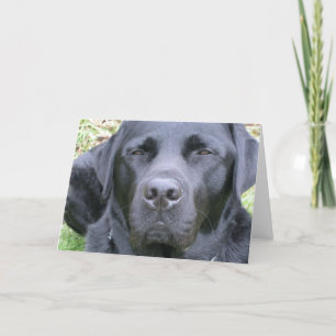 Schwarze Labrador Retriever Dog Grußkarte Karte