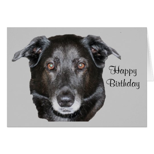 Schwarze Labrador retriever-Hundegeburtstags-Karte Karte