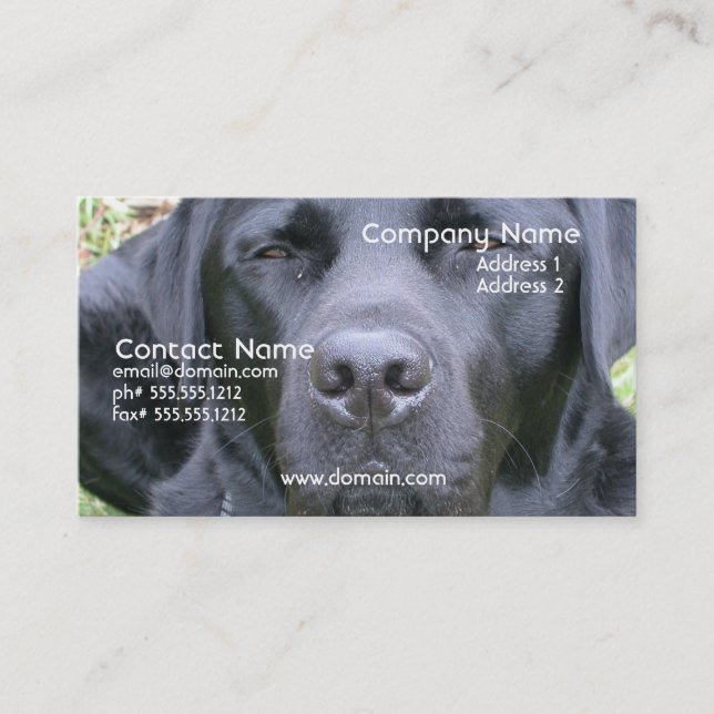 Schwarze Labrador retriever-HundeVisitenkarte Visitenkarte (Vorderseite)