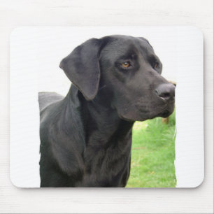 Schwarze Labrador retriever-Mausunterlage Mousepad