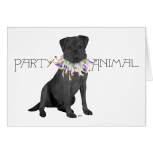 Schwarze Labrador Retriever-Party