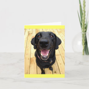 Schwarze Labrador Retriever Welpe Hund Leere Notiz Karte