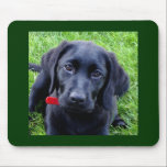 Schwarze Labrador-WelpenMausunterlage Mousepad<br><div class="desc">Schwarze Labrador-WelpenMausunterlage… machte von einem phot meines verrückten Welpen!</div>