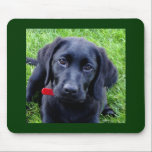 Schwarze Labrador-WelpenMausunterlage Mousepad<br><div class="desc">Schwarze Labrador-WelpenMausunterlage… machte von einem phot meines verrückten Welpen!</div>