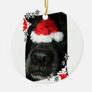 Schwarze Labradorhundenase mit Keramikornament