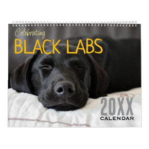 Schwarze Labradors Labrador-Hundekalender 2026 fei Kalender