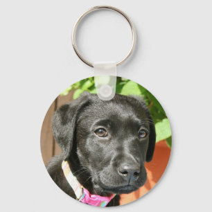 Schwarze Labradorschlüsselkette Schlüsselanhänger