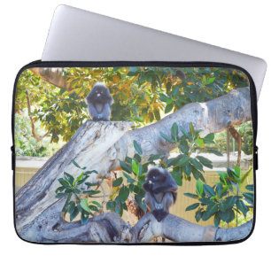 Schwarze Langur-Affen essen, Laptop-Sieb Laptopschutzhülle
