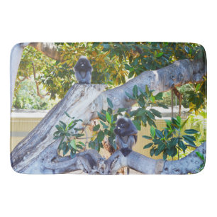 Schwarze Langur-Affen essen, Memory Foam Bathmat Badematte