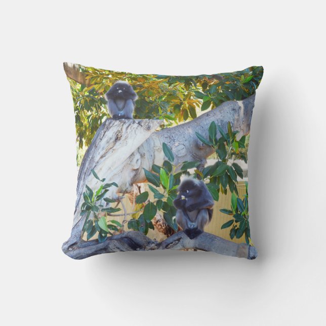 Schwarze Langur-Affen essen, Throw-Kissen Kissen (Vorderseite)
