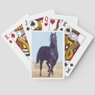 Schwarze Laufhorn-Spielkarten Spielkarten