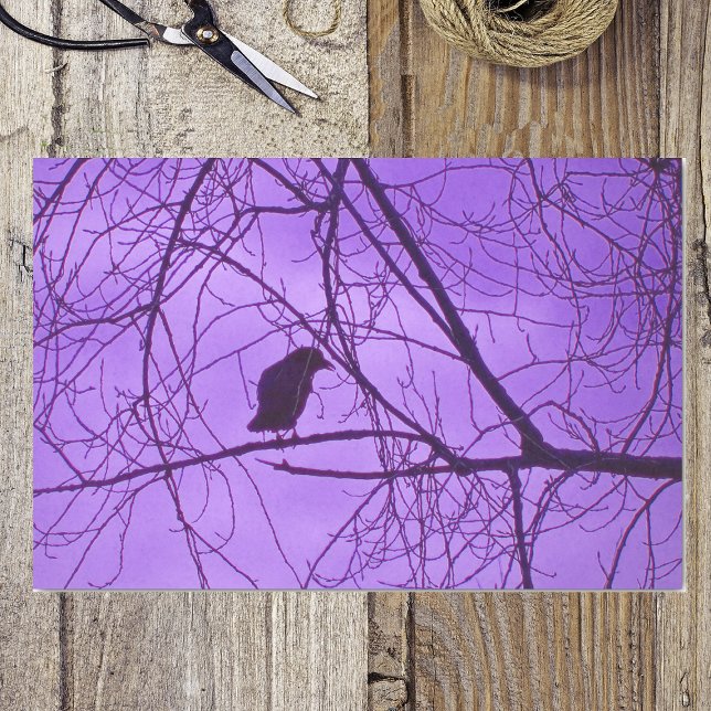 Schwarze Lila Himmelsschwärme Seidenpapier (Silhouette single black crow in barren tree branches purple hazy sky on tissue wrapping paper.)