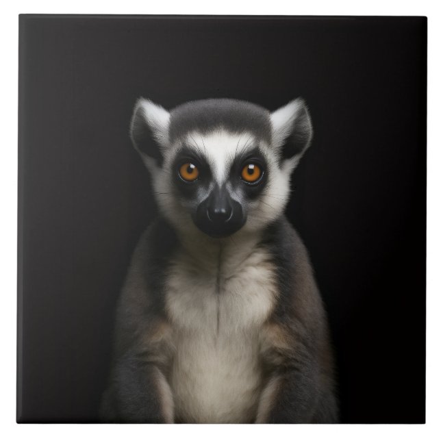 Schwarze Luxe-Fliese 4 mit sanftem Lemur Fliese (Vorderseite)