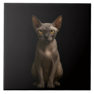 Schwarze Luxus-Kachel mit Sphynx-Katze Fliese