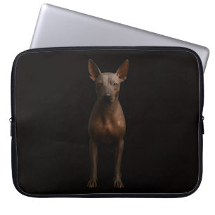Schwarze Luxus-Laptop-Hülle 4, Argentinien Pila-Hu Laptopschutzhülle