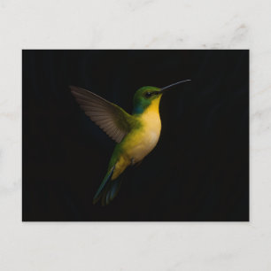 Schwarze Luxus-Postkarte mit fliegendem Vogel 4 Postkarte