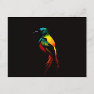 Schwarze Luxus-Postkarte mit tropischem Regenbogen Postkarte