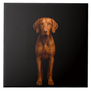 Schwarze Luxusfliese 4 mit agillem Vizsla-Hund Fliese