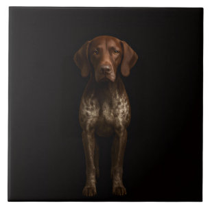 Schwarze Luxusfliese 4 mit deutschem Pointer-Hund Fliese