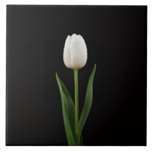Schwarze Luxusfliese 4 mit Perlenweißer Tulpe Fliese