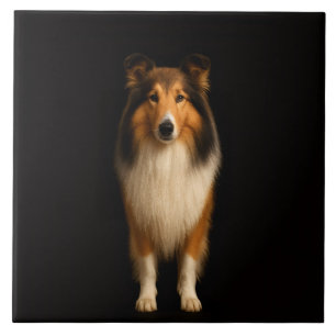 Schwarze Luxusfliese 4 mit treuem Collie-Hund Fliese