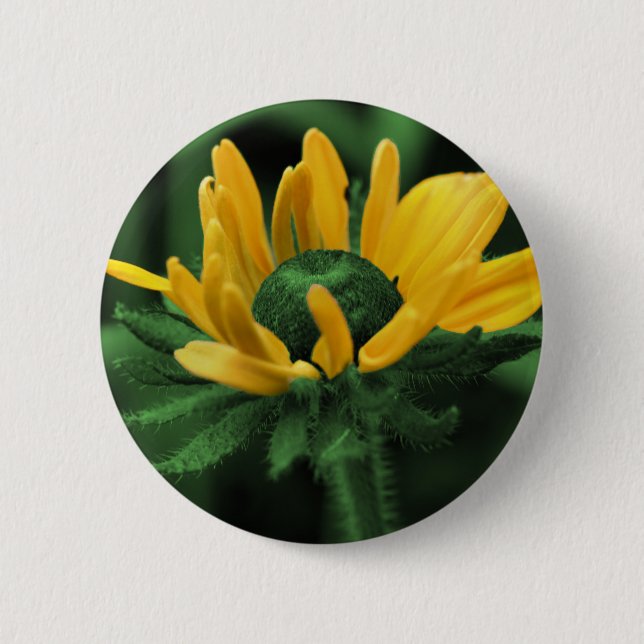 Schwarze mit Augen Susan auf grüner Blume Button (Vorderseite)