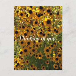 Schwarze Mit Augen Susan-Blume Denken Sie an Postk Postkarte