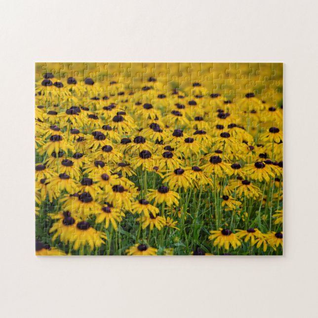 Schwarze Mit Augen Susan - Blumenpuzzle (Horizontal)