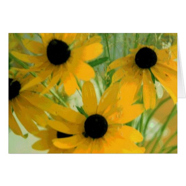 Schwarze Mit Augen Susan Card (Vorderseite (Horizontal))