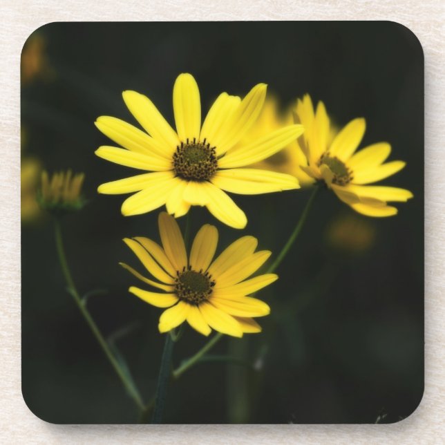 Schwarze mit Augen Susans Getränkeuntersetzer (Vorderseite)