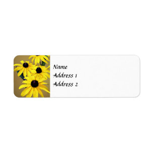 Schwarze Mit Augen Susans in einer Reihe